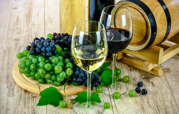 cata de vinos zamora